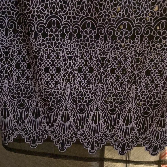 Art Deco Lilac Lace on Sheer Black- Sleeveless ~ Vintage Like New ~ size  4 - Picture 6 of 12